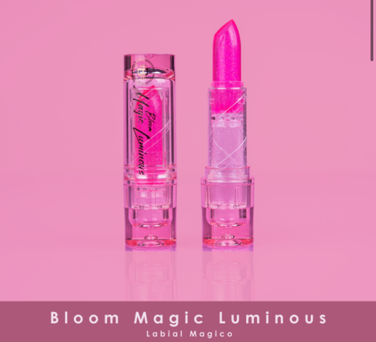 BLOOM MAGIC LUMINOUS BLOOMSHELL